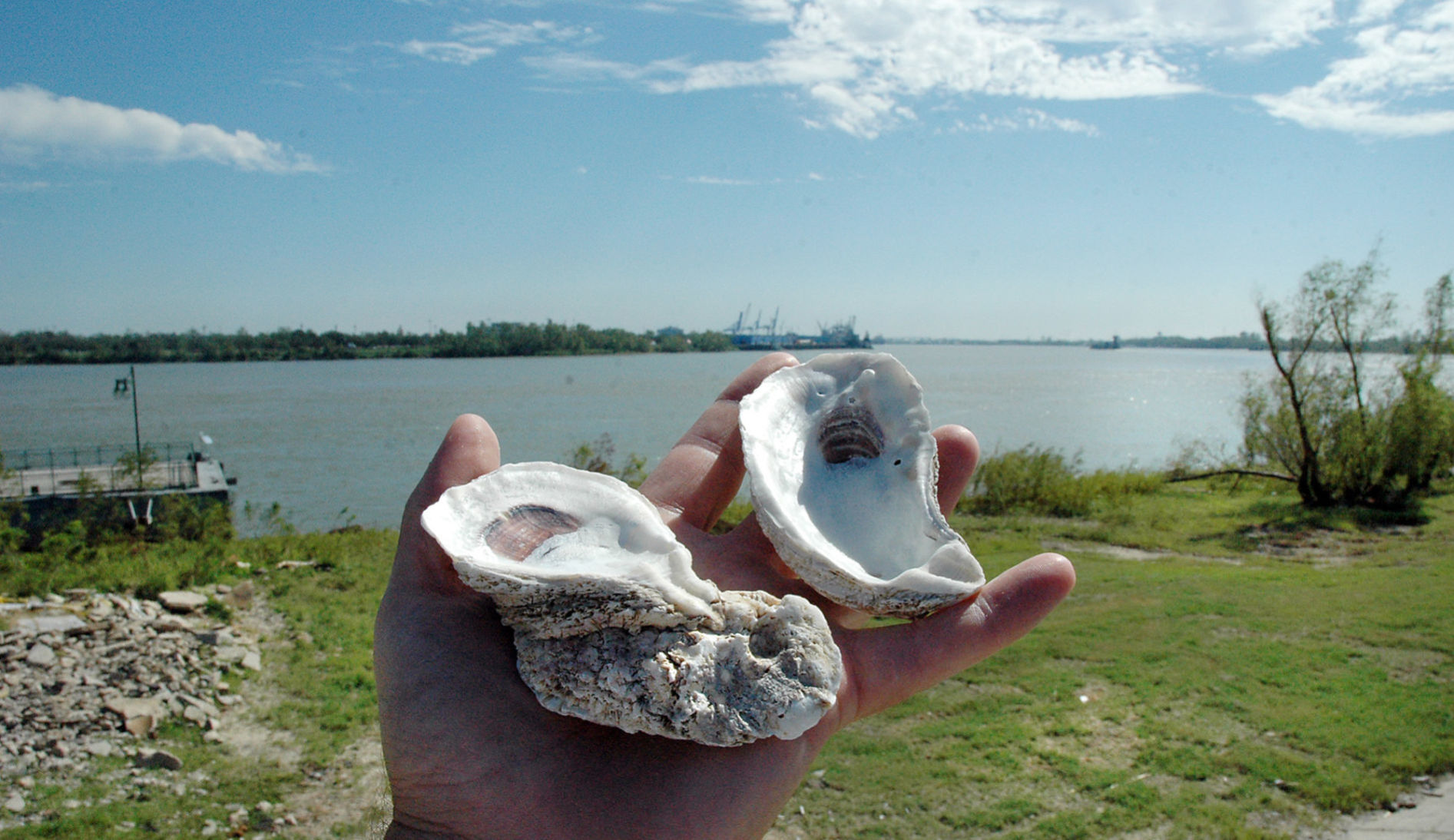 2005-After-Katrina-093